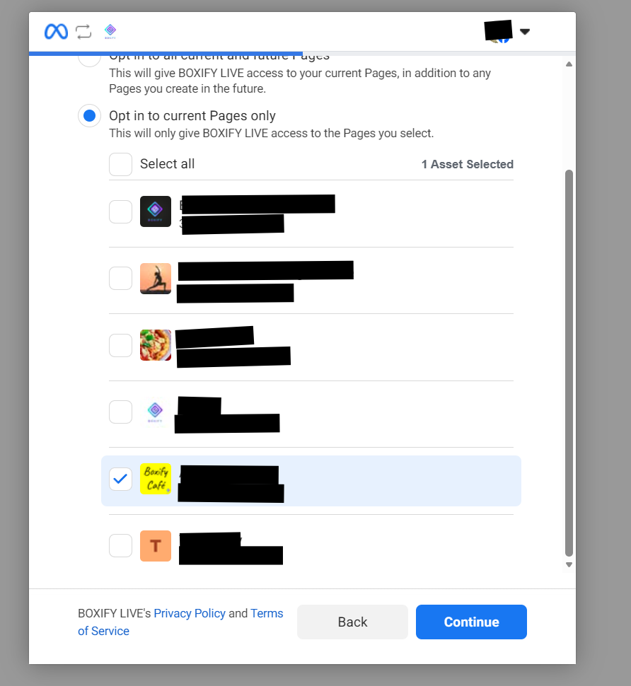 Meta Page selection screen with one Page ticked and the Continue button